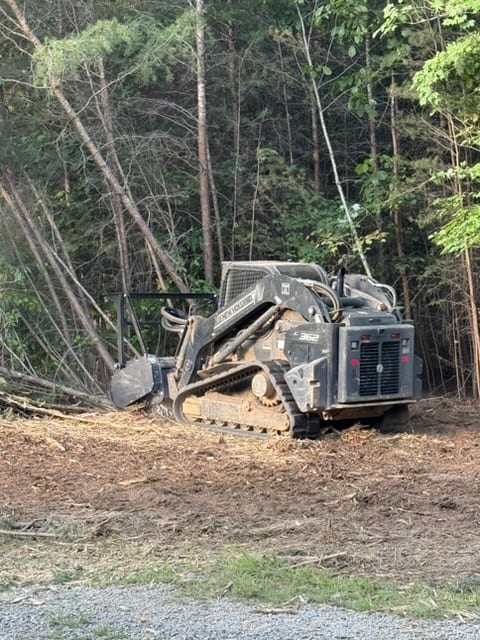 Clearing the tree line